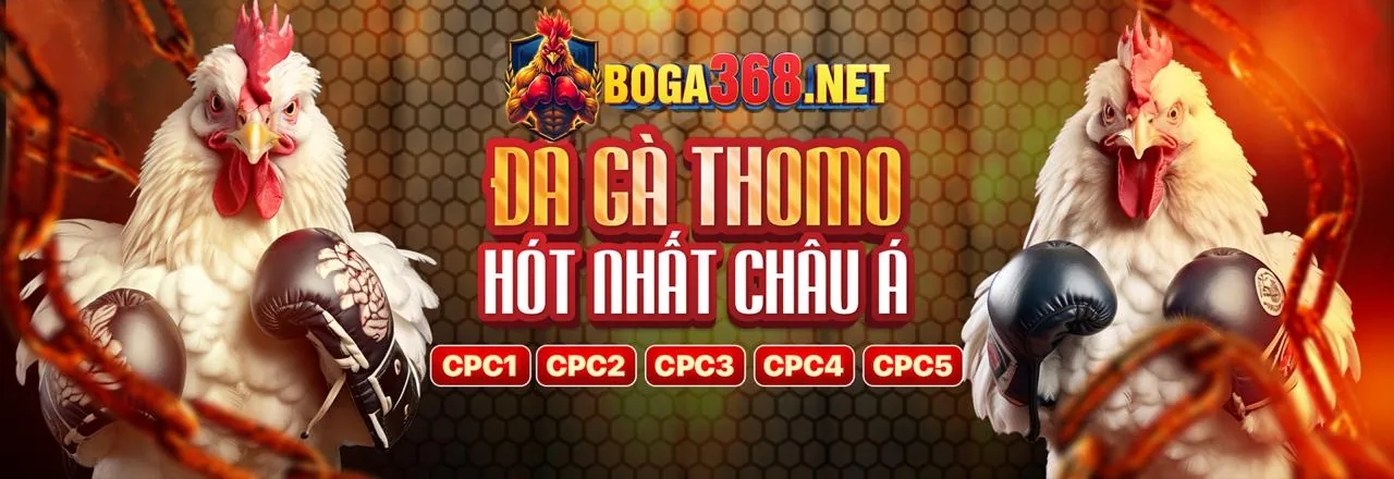 Hình ảnh chính sòng bài trực tuyến 789live
